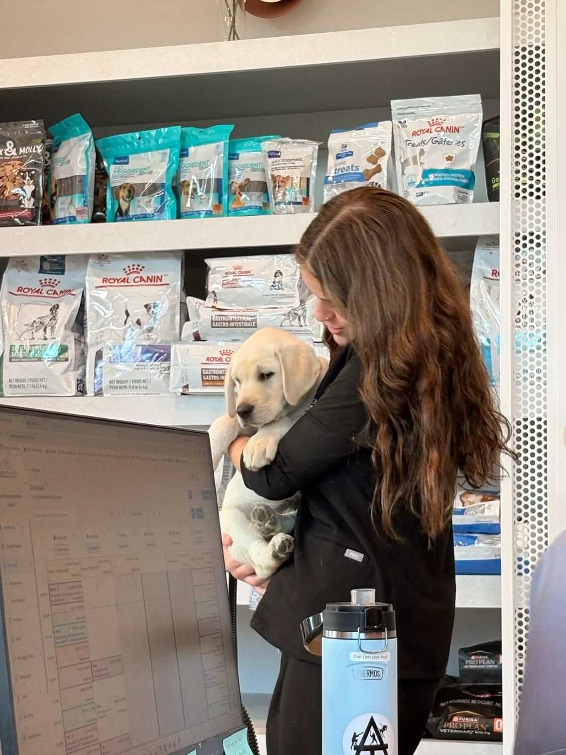 Veterinary team member holding a Labrador puppy by shelves of pet food, representing pet food, supplements, and treats in Kelowna