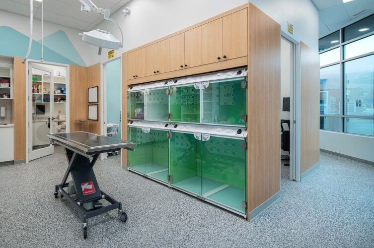 Treatment area with recovery kennels and a surgical suite beyond at our veterinary hospital in Kelowna